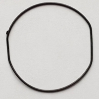 Packing/O-Ring (Back)