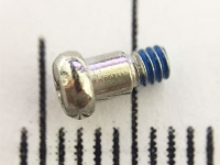 Screw