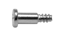 Bezel Screw