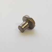 Bezel Screw