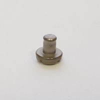 Bezel Screw