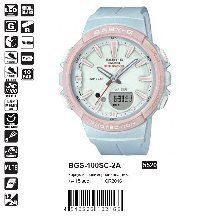 BGS-100SC-2A