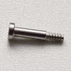 Screw for band